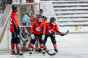 Хоккеисты «Старта» уступили дома столичному «Динамо»